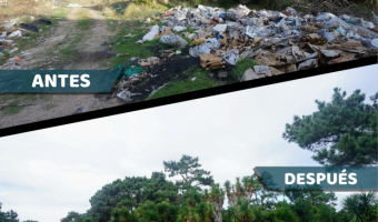 ANTES Y DESPUS: Limpieza del basural en 147 y circunvalacin